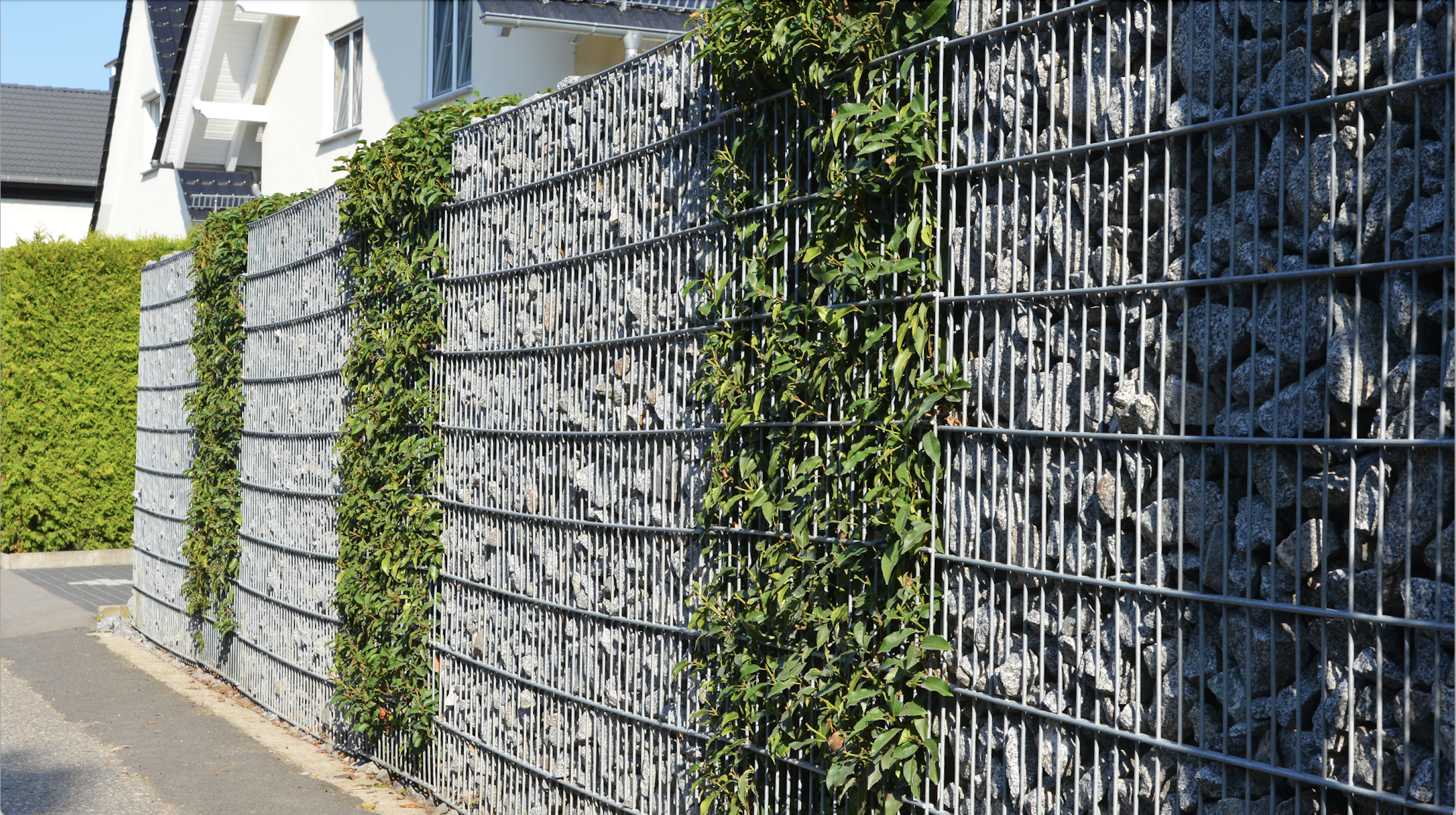 Zaun Beispiel 1